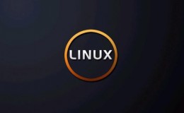 Linux下/proc/diskstats文件输出解释说明