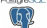 PostgreSQL客户端和服务器端程序